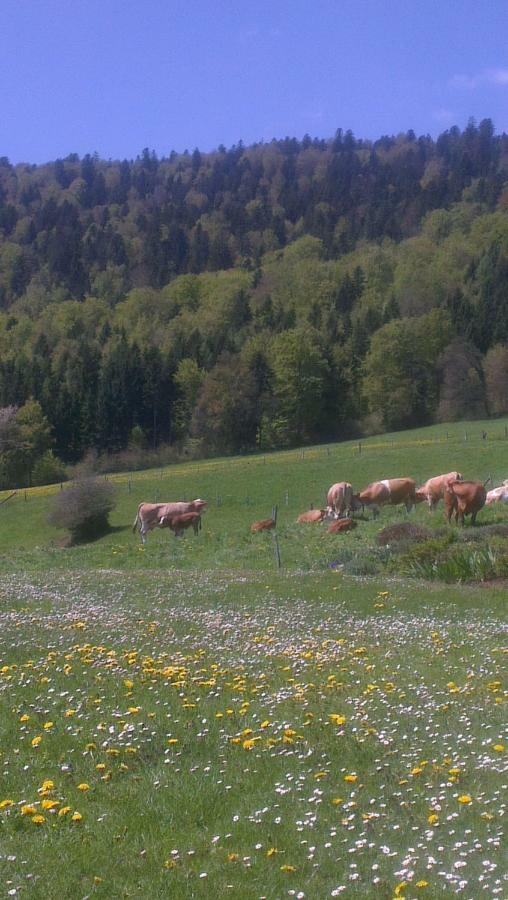 La Petite Fleur Daire Enges Dış mekan fotoğraf